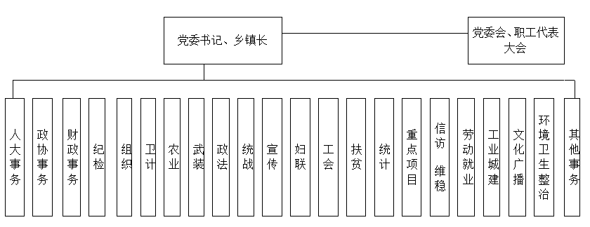 沈莹：加快构建中央企业规范的内部控制体系